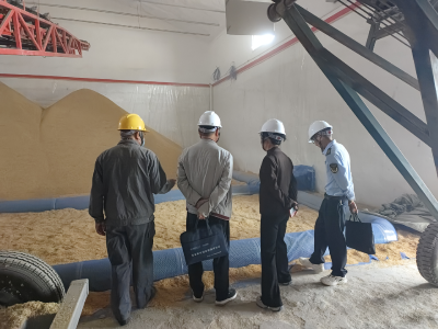 麻城市开展秋粮收购精准监管守护农户的“钱袋子”