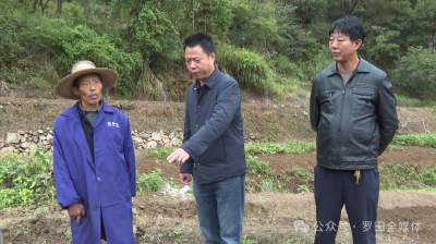 三里畈镇：秋播绘“丰”景 油菜种植忙