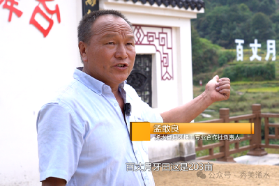 梯田米香引客来 农旅融合促振兴