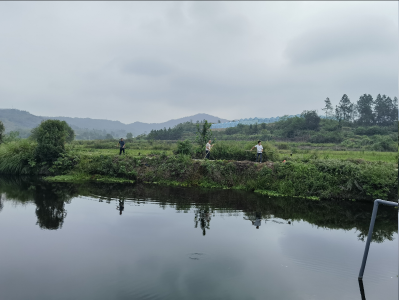 推进赤东湖水质提升  蕲春全力绘就治湖”一张图”