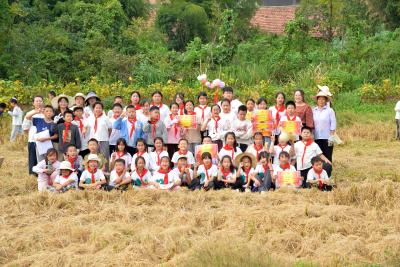 收获满满！龙感湖中心小学芦柴湖校区学生变身“小农民”体验收割乐趣