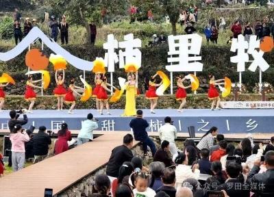 第十五届湖北罗田甜柿季活动举行