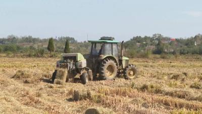 秸秆处置焕新生 变废为宝助农兴 