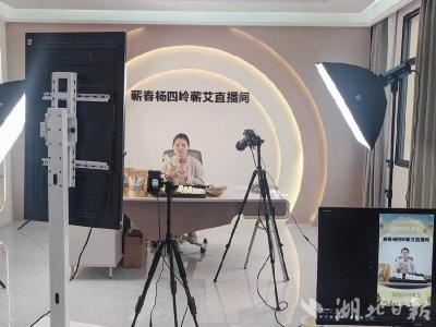 蕲春淘宝村点亮云端“艾经济”