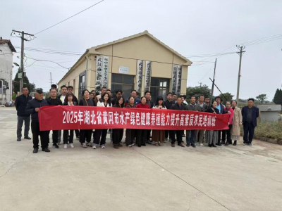 解码绿色健康养殖，赋能水产“新农人”逐浪前行