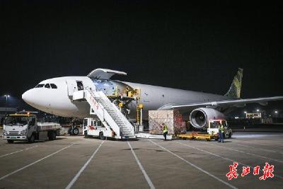 花湖八日——在跑道、在直播间、在百姓餐桌，看见一张通达全球的网