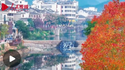 红叶推介官王雅萍：希望借“中国红叶黄金走廊”打破地域界限