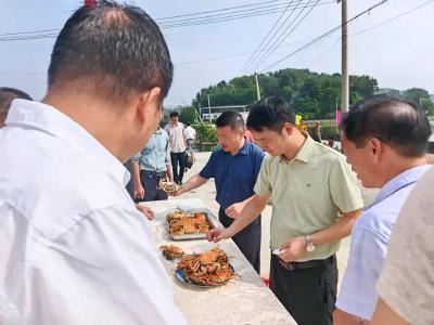 蕲春县彭思镇茅山村——  “一只蟹”带动“一方兴”