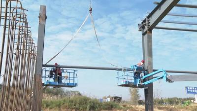 浠水县：延伸“蛋链”做强产业 再添引擎冲刺目标