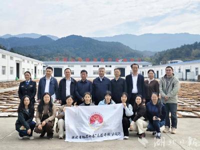 “小茯苓”成就“大产业” 众央媒寻源进英山