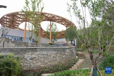 熊猫搬新“家” 我国再添一座大熊猫基地