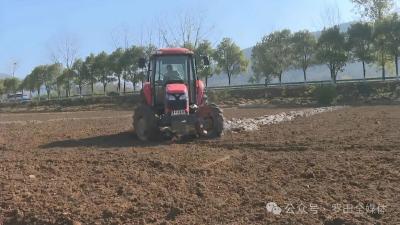 四望镇：织密秸秆禁烧“防护网” 守护蓝天沃土见实效