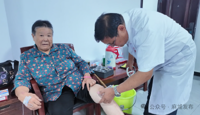 从“蔡家岗之变”到“阎家河之治”：解锁一个乡镇的民生改善密码