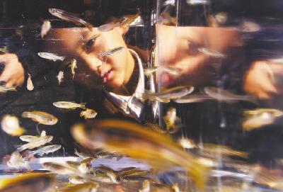 武汉植物园科普嘉年华