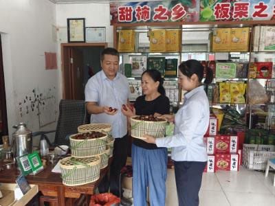 金融活水润栗乡 黄冈邮储银行赋能小板栗成为致富“金果果”