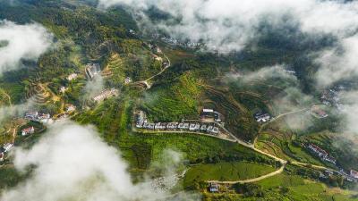 英山县东冲河村：猕猴桃结出“致富果” 特色产业绘就乡村振兴新图景