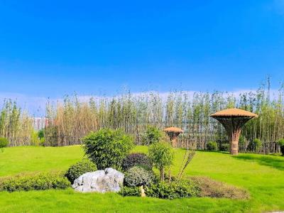 家门口的“元气补给站”   黄冈179个口袋公园让幸福触手可及