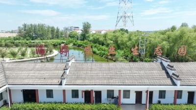 海婷农场焕新记