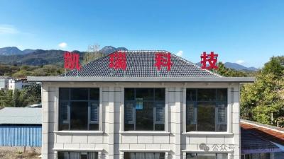 “菊花姐姐”彭秋华：一朵菊花富乡梓 科技赋能振兴路