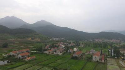 罗田县浓墨重彩描绘物流项目建设新图景