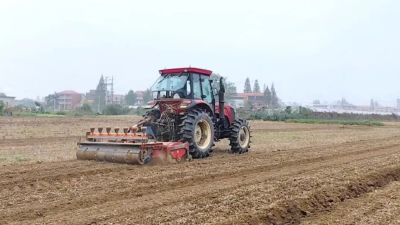 秋播正当时 沃野绘新景 黄梅分路镇扎实推进秋冬季农业生产