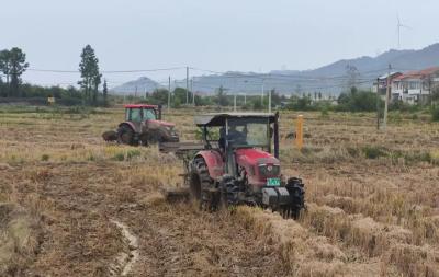 “禁烧+利用”双向发力！花桥镇秸秆治理破局见效 