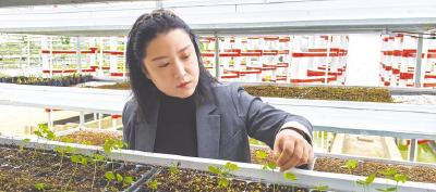 她打造星级民宿带领村民共富