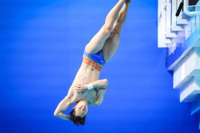 十五运跳水：王宗源男子一米板夺金 郑九源摘铜