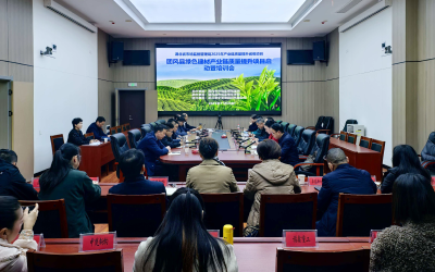 团风县举行绿色建材产业链质量提升项目推进会