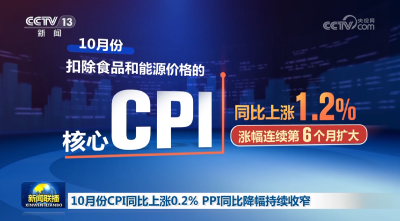 10月份CPI同比上涨0.2% PPI同比降幅持续收窄