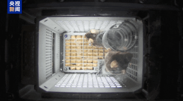 央视新闻 | 新闻来了〔2025.11.03〕