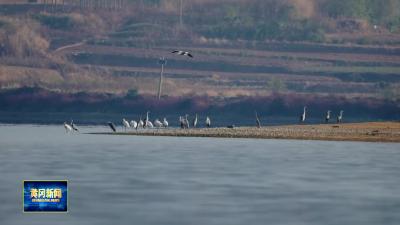 我市融媒体中心19件作品入选湖北优秀新闻作品拟获奖名单
