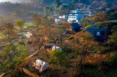 罗田县三里畈推进美丽乡村示范片区建设—— 唱“柿里牧歌” 建“美畈三里”