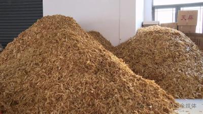 年产值11.75亿元 罗田县小天麻“长”成大产业