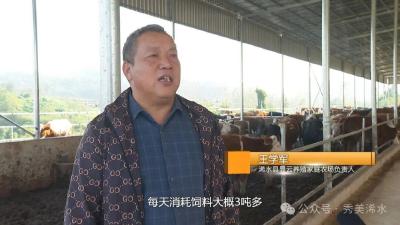 秸秆成了香饽饽 多元利用打开市场新空间