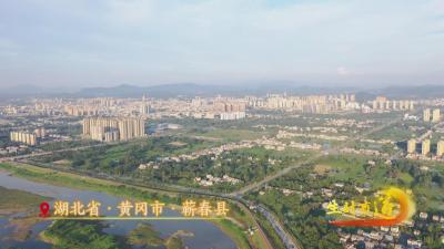 生财有道丨打造163亿元大产业！湖北蕲春把艾草玩出“花”→