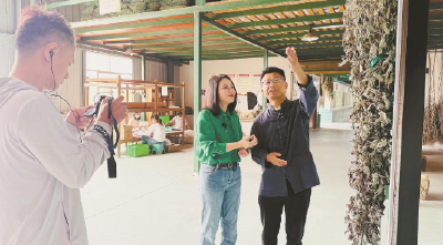 互联网精英变“蕲艾大王”——  蕲春陈志祥十年返乡逐梦蕲艾路