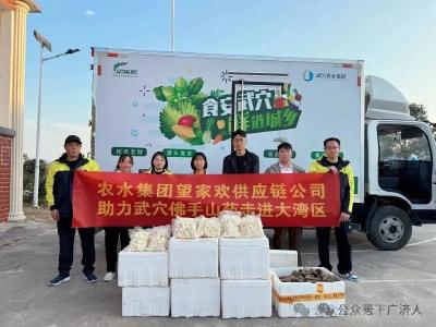 溯源好山药  对接大市场——武穴农品借力大湾区迈向高质量发展