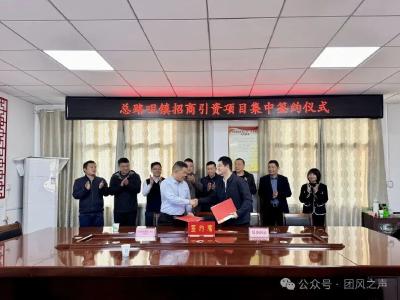 总投资2.3亿元！总路咀镇两大重点项目集中签约