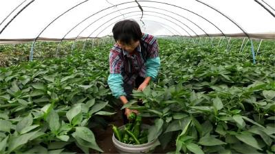 大别山连东海畔 协作路通幸福门——甬黄协作书写湖北“建成支点”实践篇章