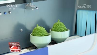 开放的中国：坚持开放合作 互利共赢