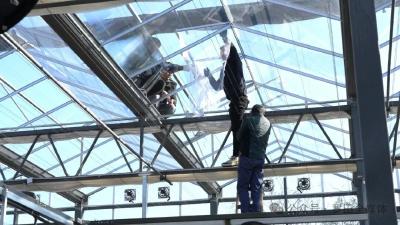 大别山兰花产业园将于11月29日开园 筹备工作进入收尾阶段