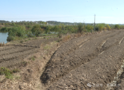 黄冈组建跨部门协同专班 守住耕地保护红线