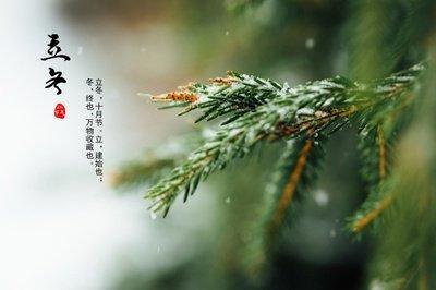 【散文随笔】立冬“藏锋”：电力财务人的岁末沉淀与续航