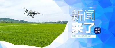 央视新闻 | 新闻来了〔2025.11.24〕