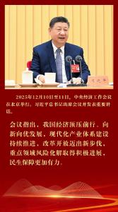 镜观回响2025丨中国经济：顶压前行 向新向优