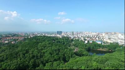 黄州新闻20251208