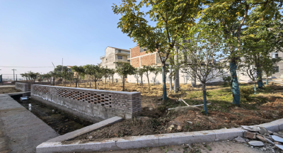 千万工程+硬核实干！花桥镇脏乱垸场逆袭成“宜居顶流” 