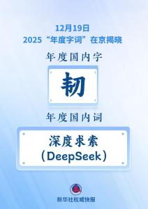 哪些字词为2025“画像” “韧”与“深度求索”当选