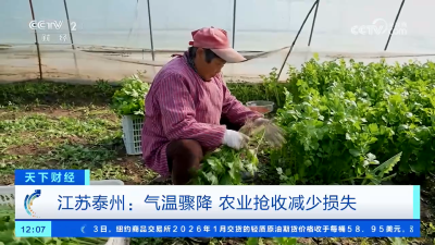 各地积极应对寒潮天气 保障生产生活平稳有序